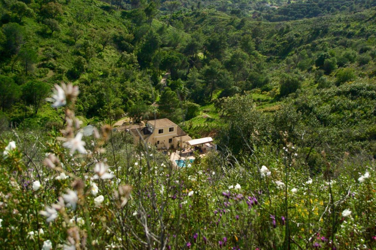 Terra Das Delicias Morenos Exteriér fotografie